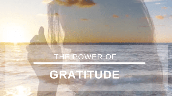 Featured image for “The Power Of Gratitude [Webinar Included!]”