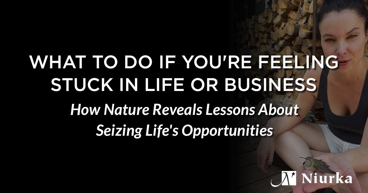 What To Do If You're Feeling Stuck In Life Or Business